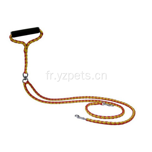 Collier de chien doux à la mode à plusieurs modèles